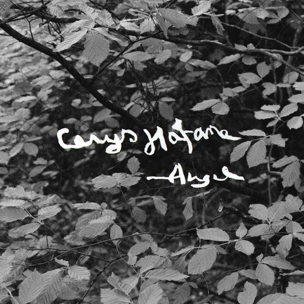 the album cover for Cerys Hafana - Angel