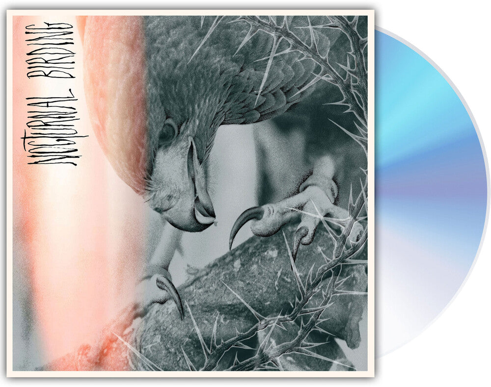 the album cover for Author & Punisher - Nocturnal Birding