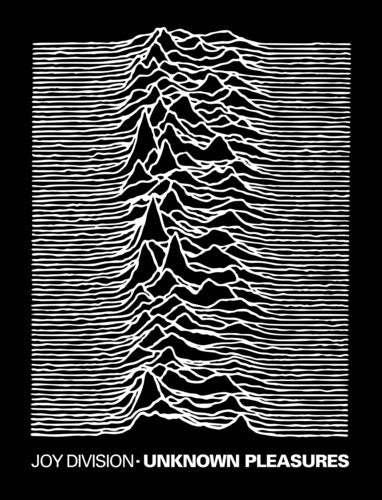 Rocksax Joy Division Blnk Unknown Pleasures 60x80 - Rocksax Joy Division Blnk Unknown Pleasures 60x80 - Special Products