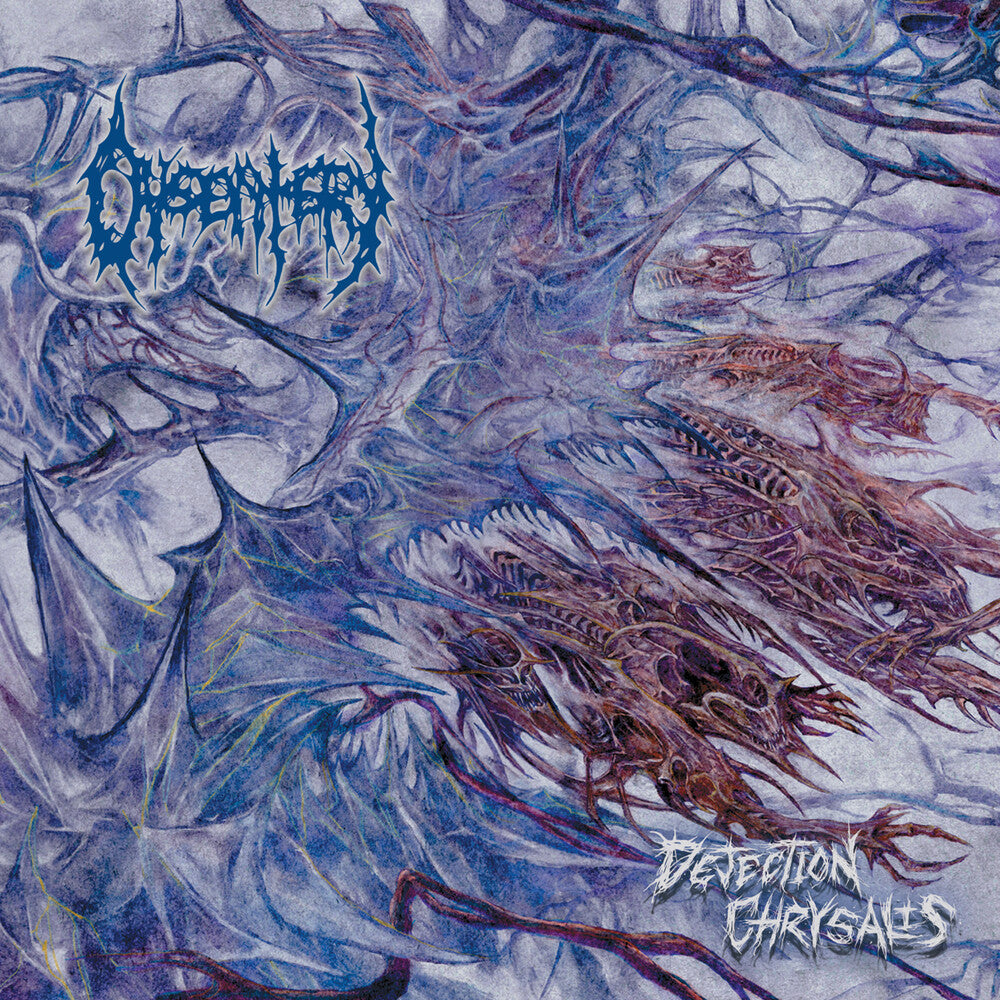 the album cover for Dysentery - Dejection Chrysalis