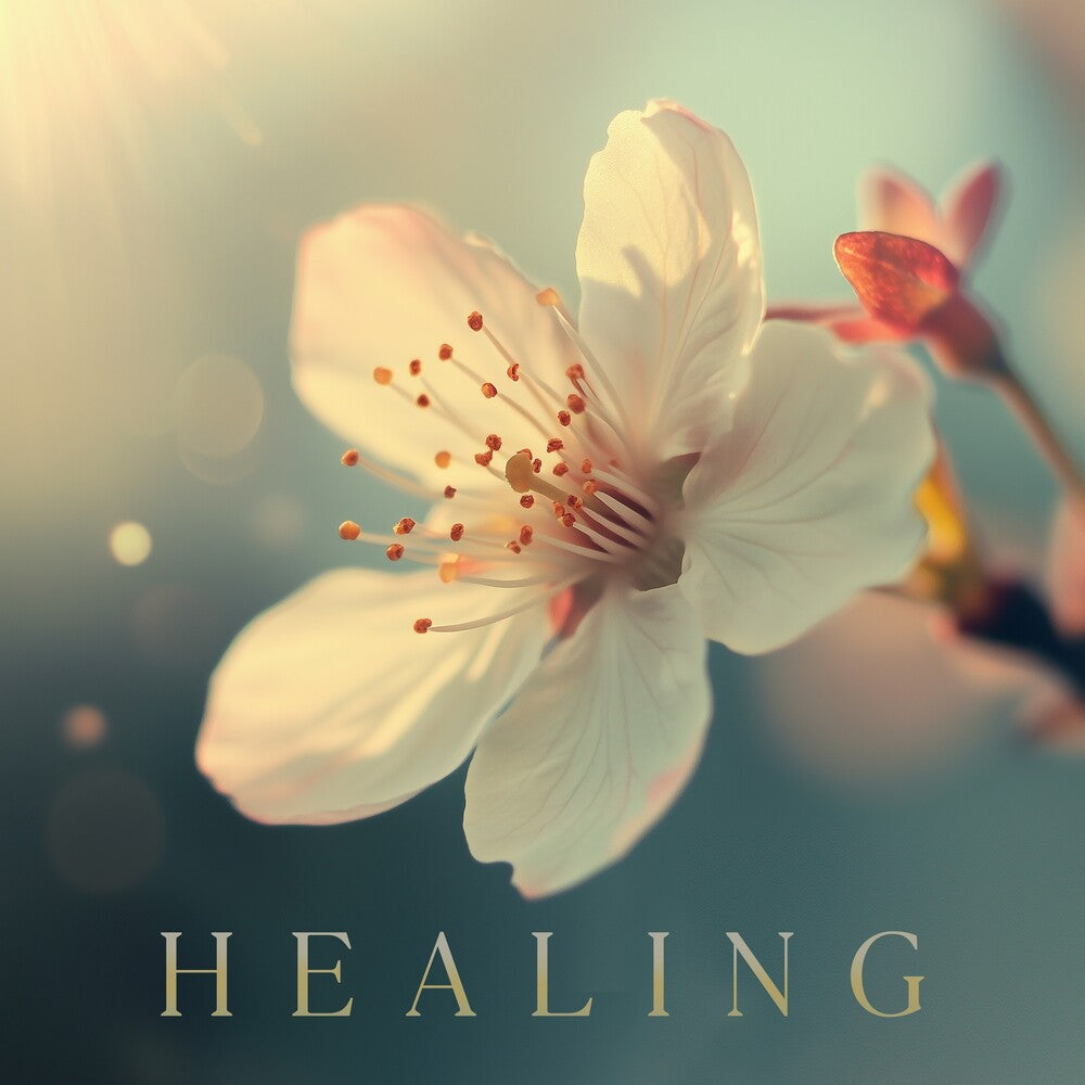 the album cover for Healing / Various - Healing / Various