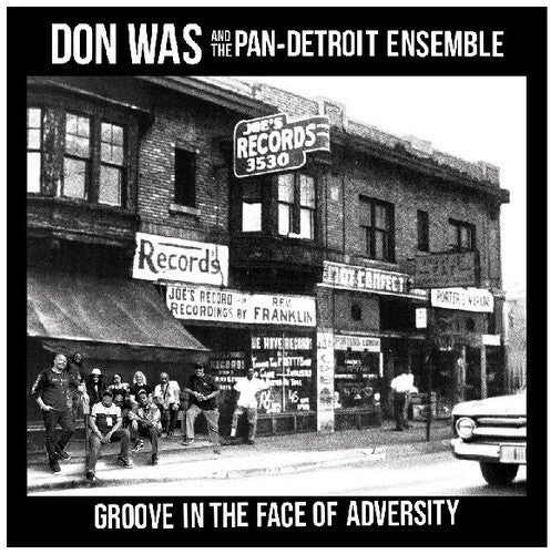 Was,don - Groove In The Face Of Adversity - Vinyl Record
