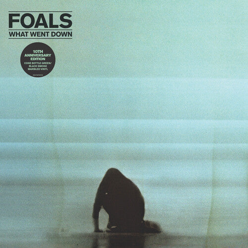 Foals - What Went Down - Vinyl Record
