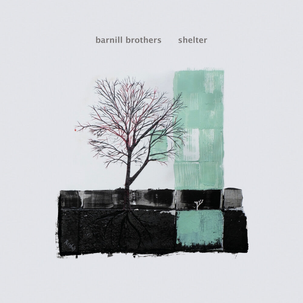 the album cover for Barnill Brothers - Shelter