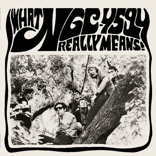Ngc-4594 - What Ngc-4594 Really Means - Vinyl Record