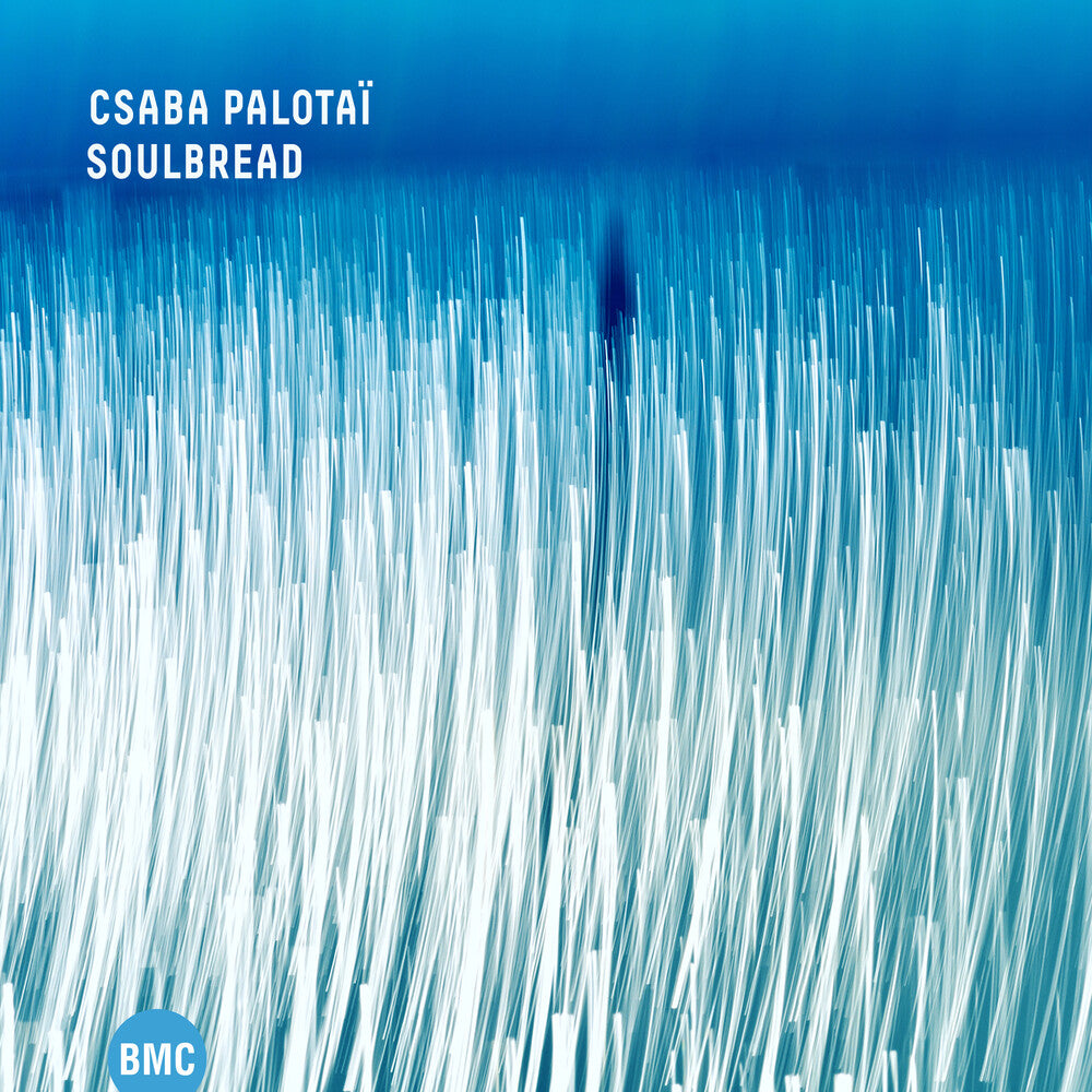 the album cover for Csaba Palotai - Soulbread