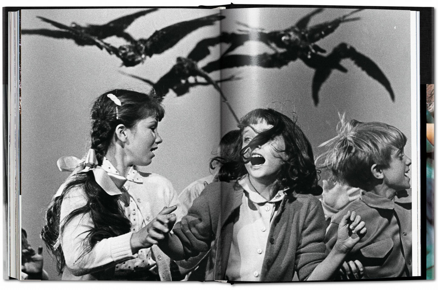 Alfred Hitchcock. The Complete Films (English) Book