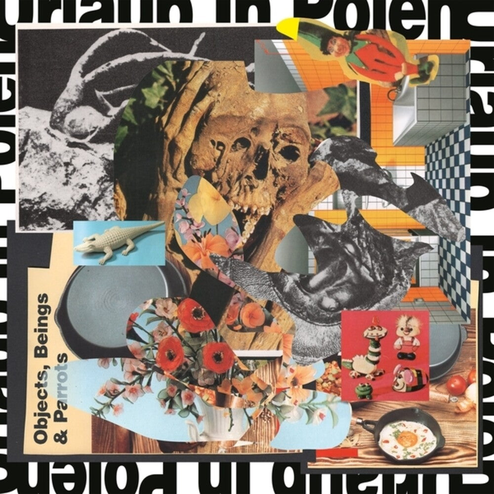 Objects Beings & Parrots Music CD