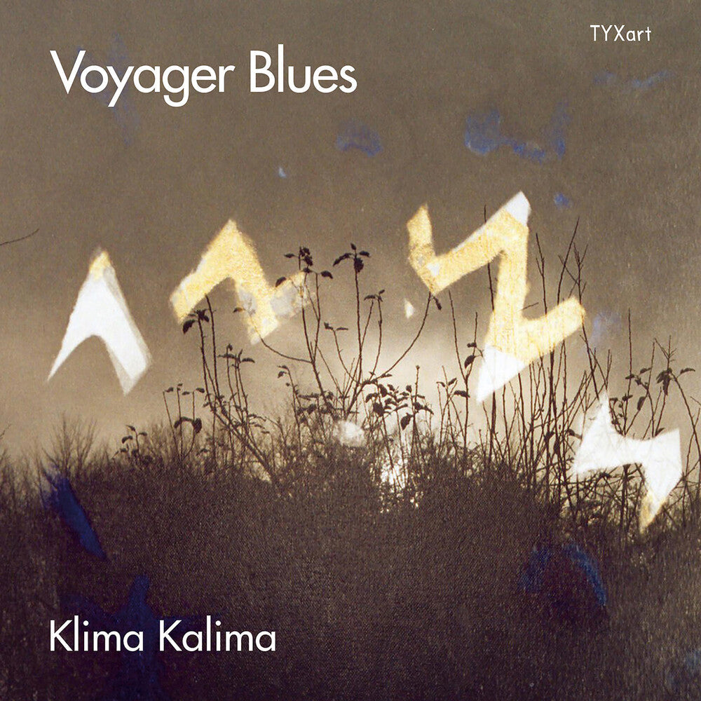 Voyager Blues Music CD