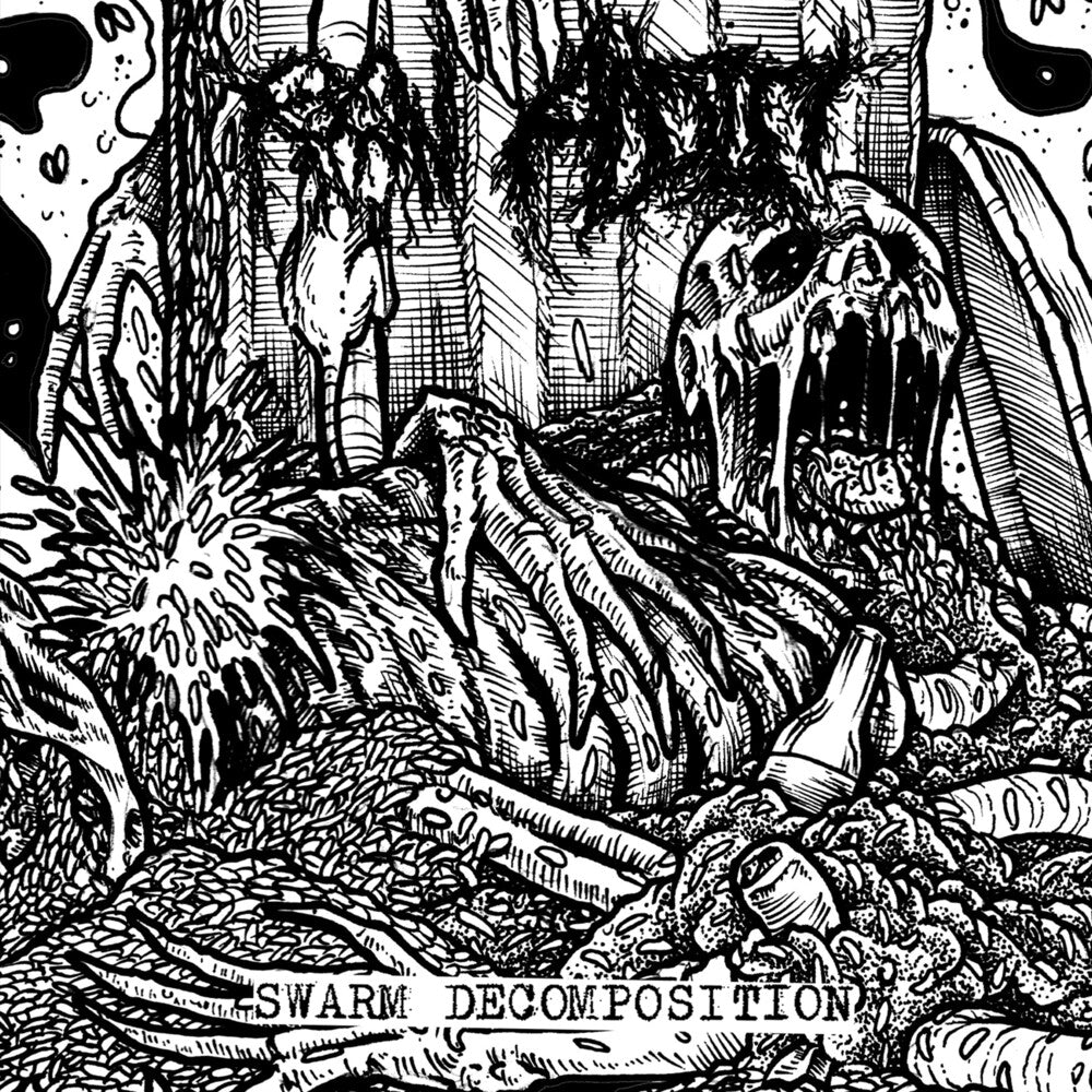 Swarm Decomposition Music CD