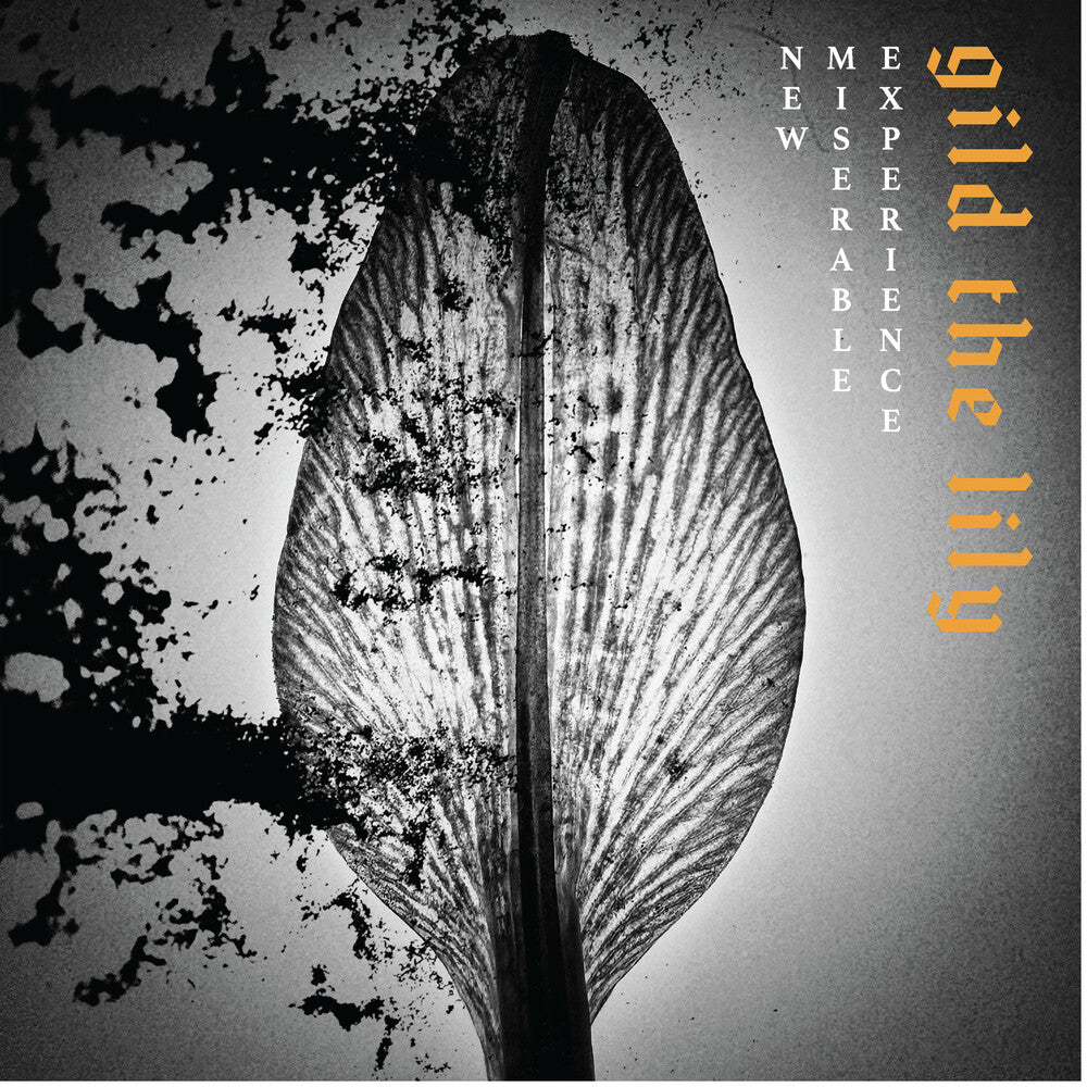 Gild The Lily Music CD