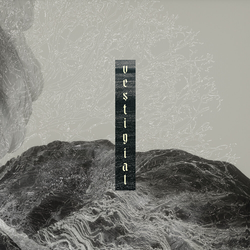Descending Vastness Music CD