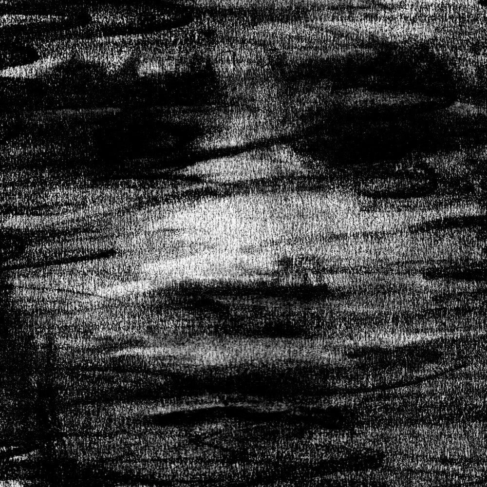 Birds Drink My Blood Music CD