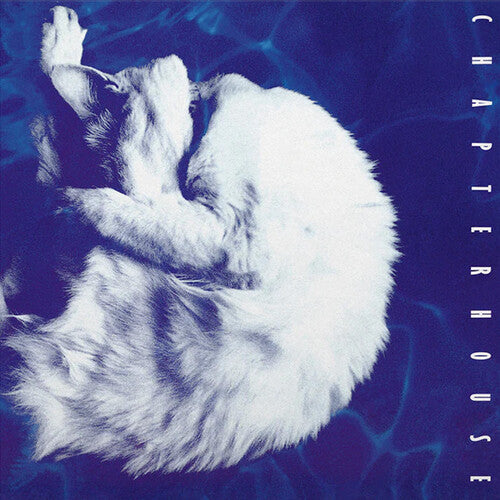 Chapterhouse - Whirlpool - Vinyl Record