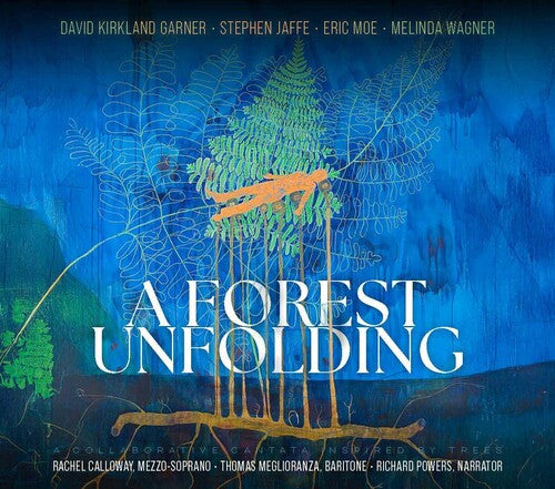 Calloway,rachel - Forest Unfolding - Music CD