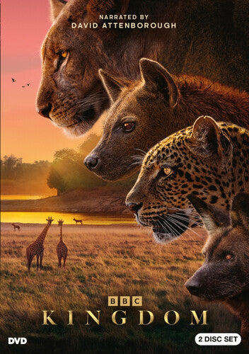 Kingdom - Kingdom - DVD