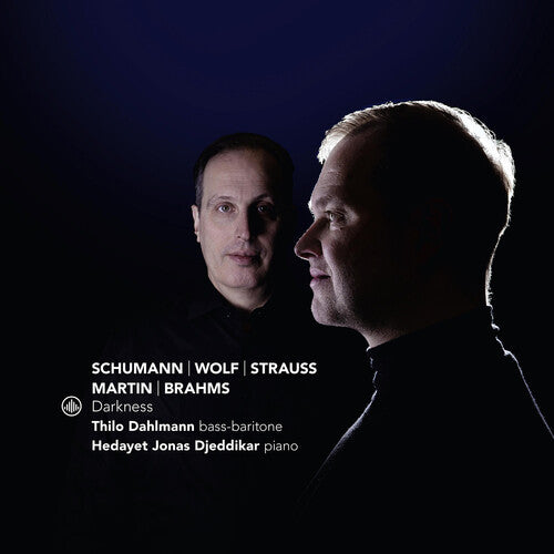Dahlmann,thilo - Darkness - Music CD