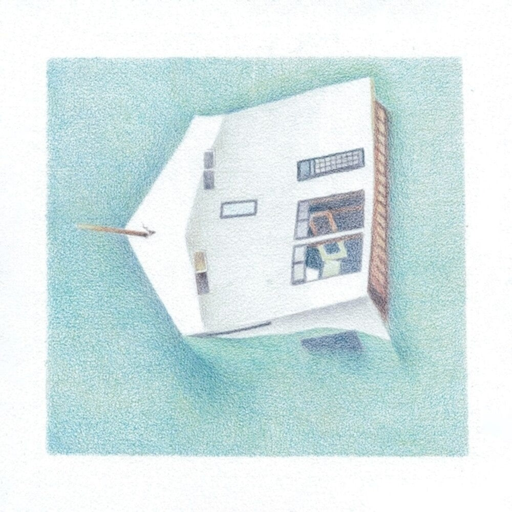 the album cover for Danny Lane Scott - House Of Alice