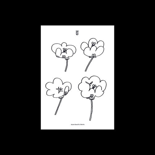 Lawrence - Poppies - Vinyl Record