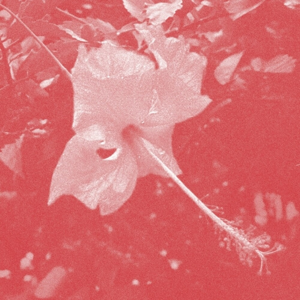 Poulaine Music CD