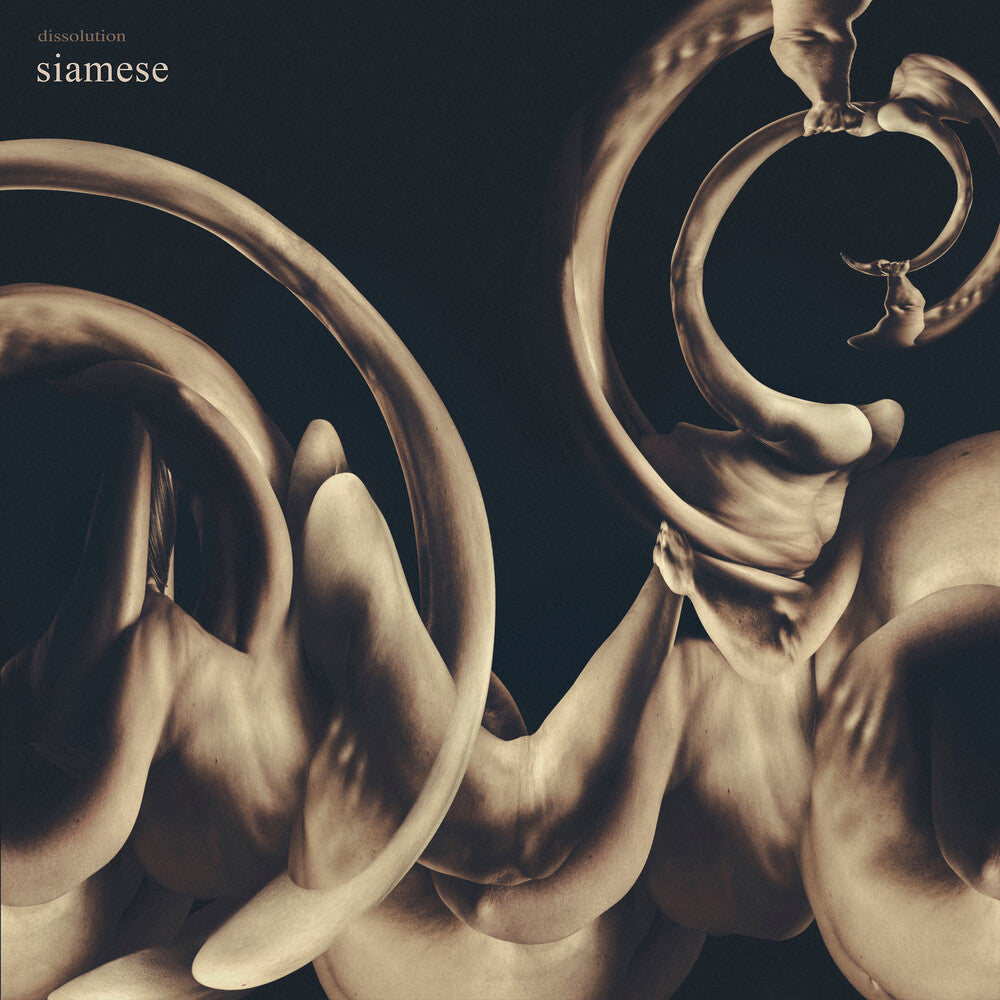 Dissolution Music CD