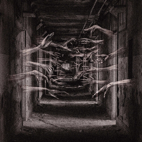Demonic Possessor - Porous Chambers - Vinyl Record