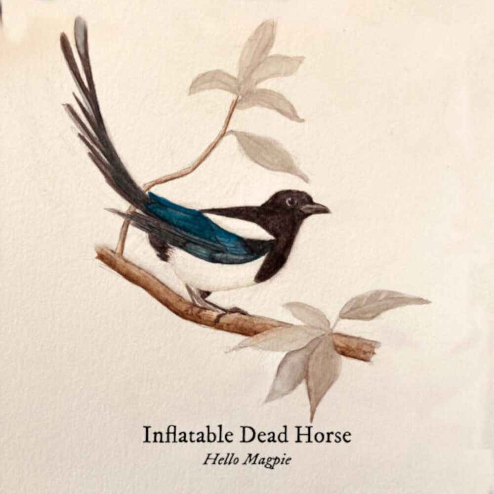 Hello Magpie Music CD