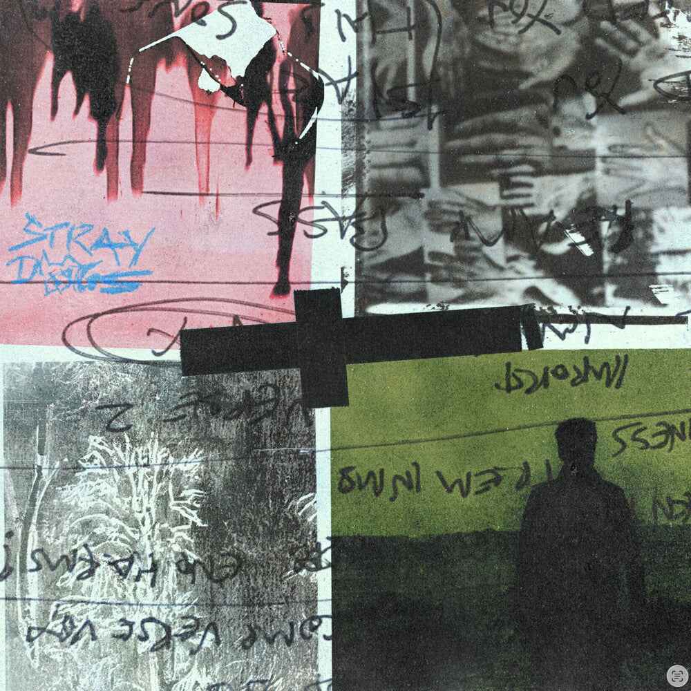 Pre-Order: Stray Dogs Music CD
