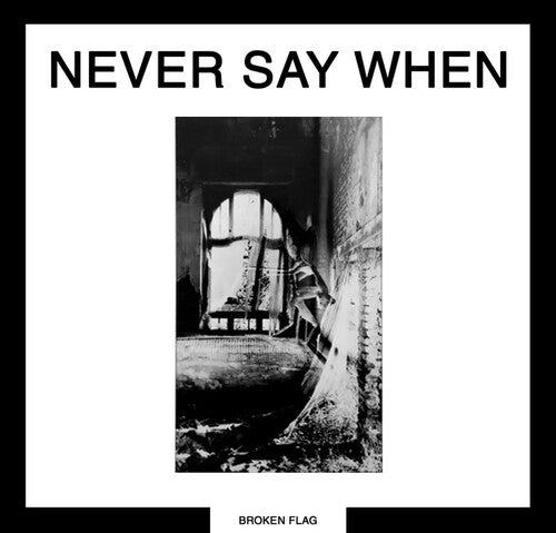 Never Say When / Various - Never Say When / Various - Vinyl Record