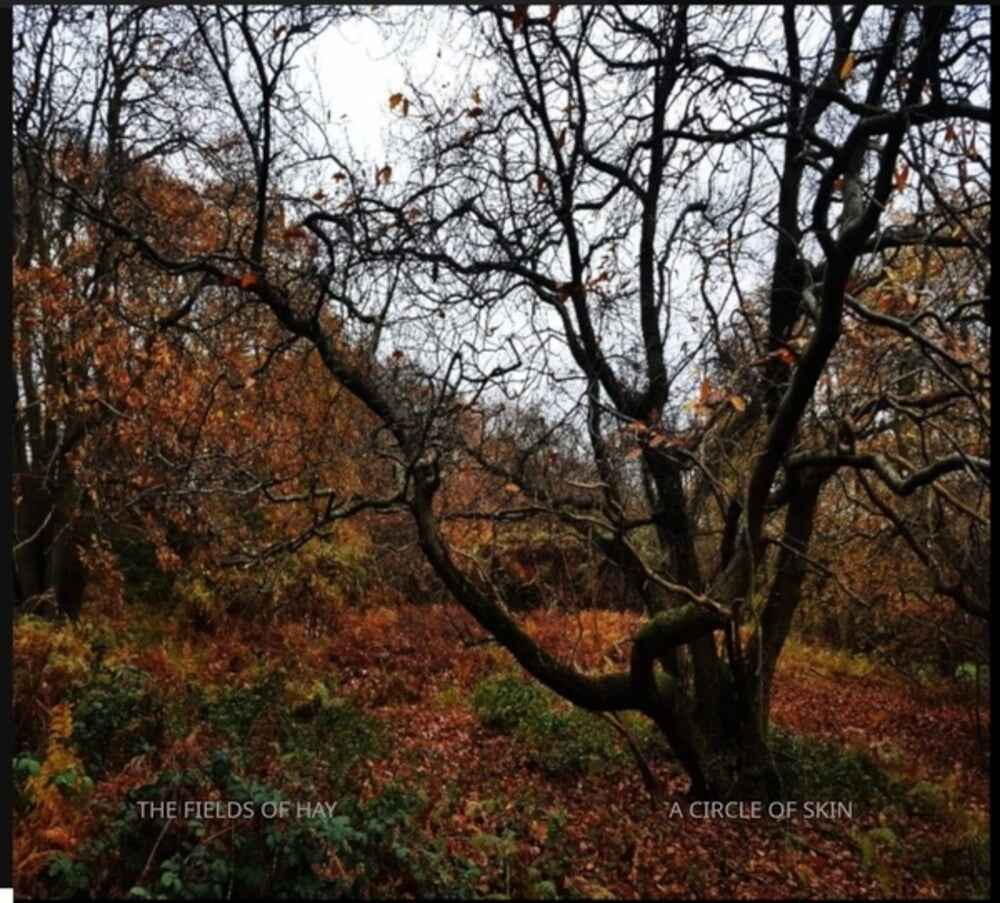 Circle of Skin Music CD