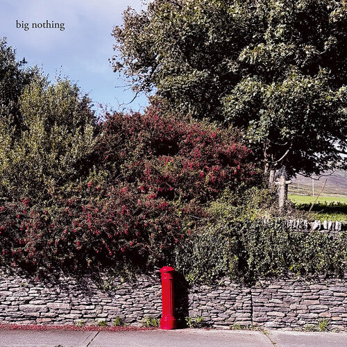Big Nothing - Big Nothing - Vinyl Record