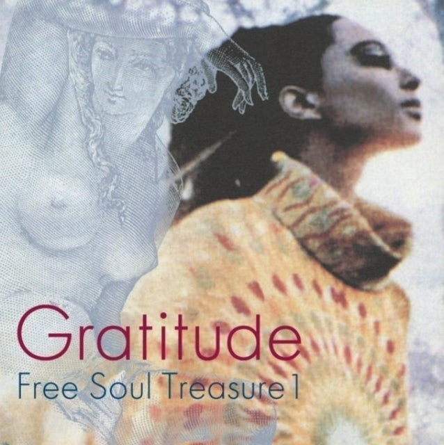 Various Artists - Gratitude: Suburbia Meets Ultra-Vybe Free Soul Treasure 1 - LP Vinyl Record