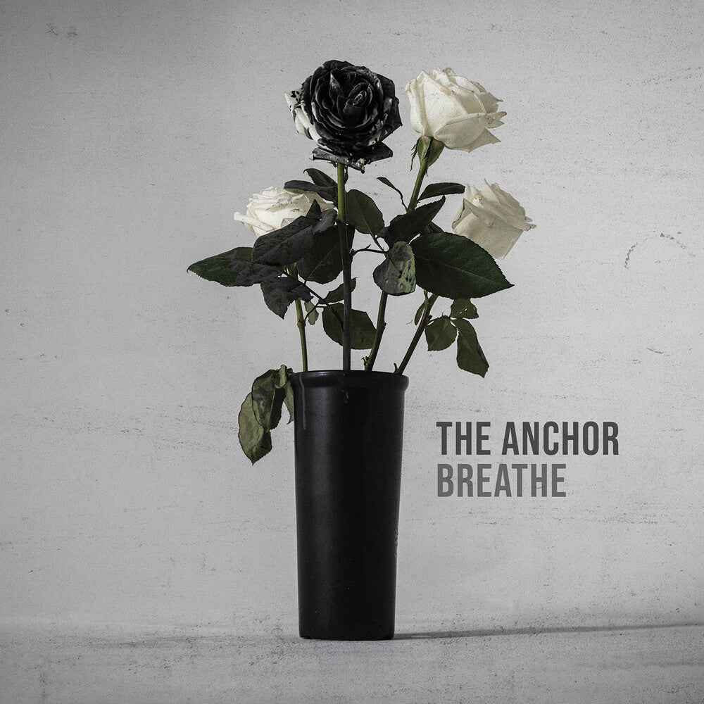 The Anchor Music CD
