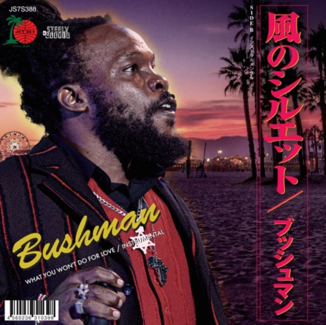 Bushman - What You Won't Do For Love - 7 Inch Vinyl