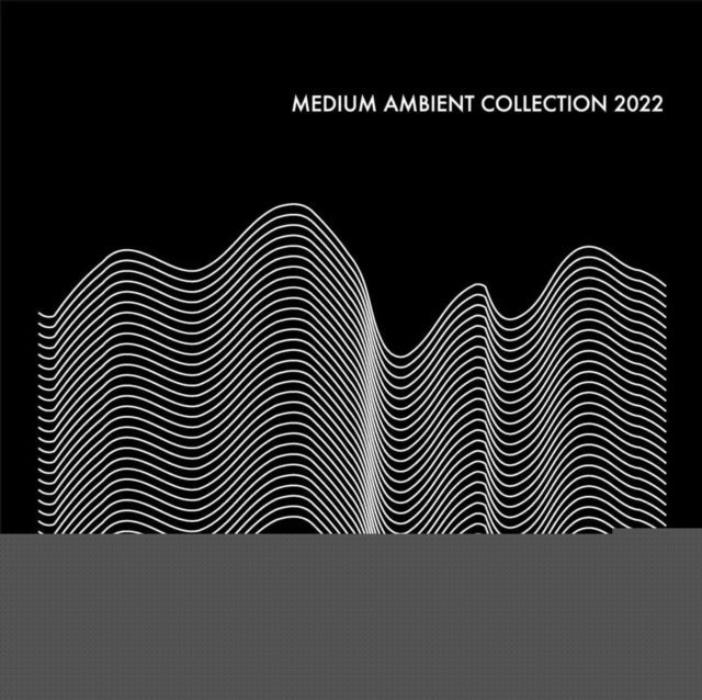 Various Artists - Medium Ambient Collection 2022 (2LP) Vinyl Record