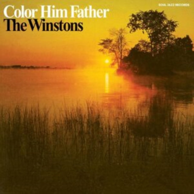 Winstons - Color Him Father - LP Vinyl Record