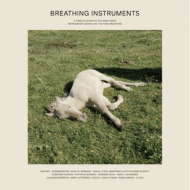 Various Artists - Breathing Instruments - LP Vinyl Record