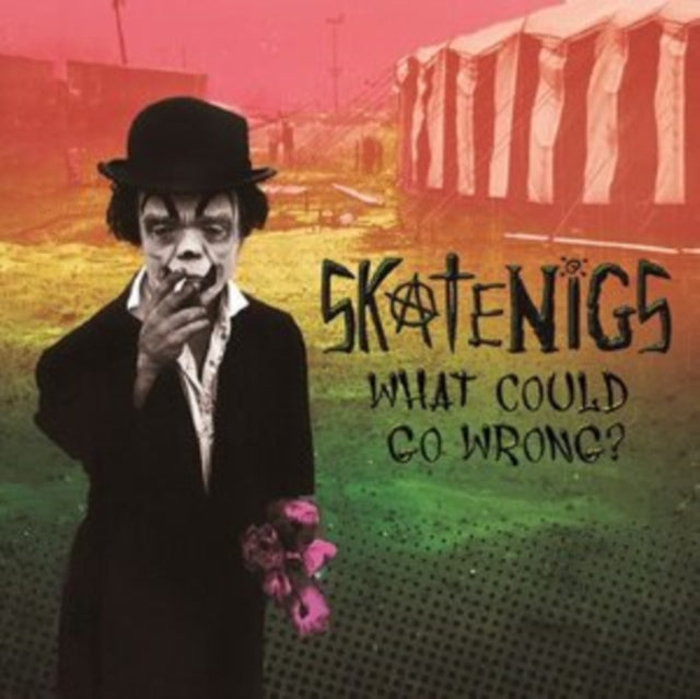 Skatenigs - What Could Go Wrong? Music CD