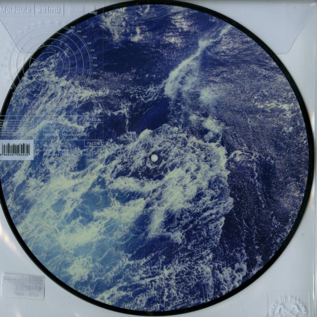 Molecule - 981 Mb - 12 Inch Vinyl