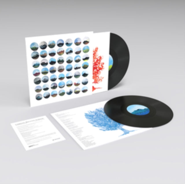 Complete Mountain Almanac - Complete Mountain Almanac (2LP) Vinyl Record