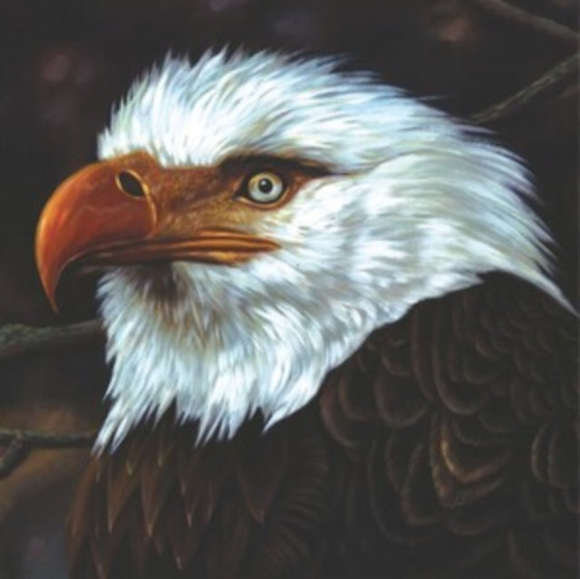 Mogwai - Hawk Is Howling (White Vinyl/Reissue/2LP) Vinyl Record