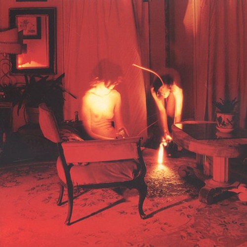 the album cover for Kammerflimmer Kollektief - Cicadidae