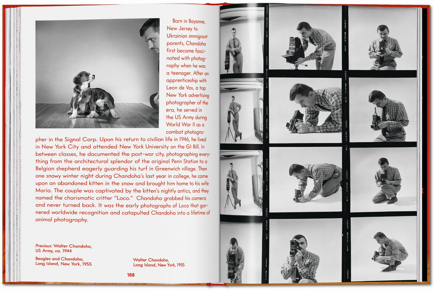 Walter Chandoha. Dogs. Photographs 1941–1991 (English) Book
