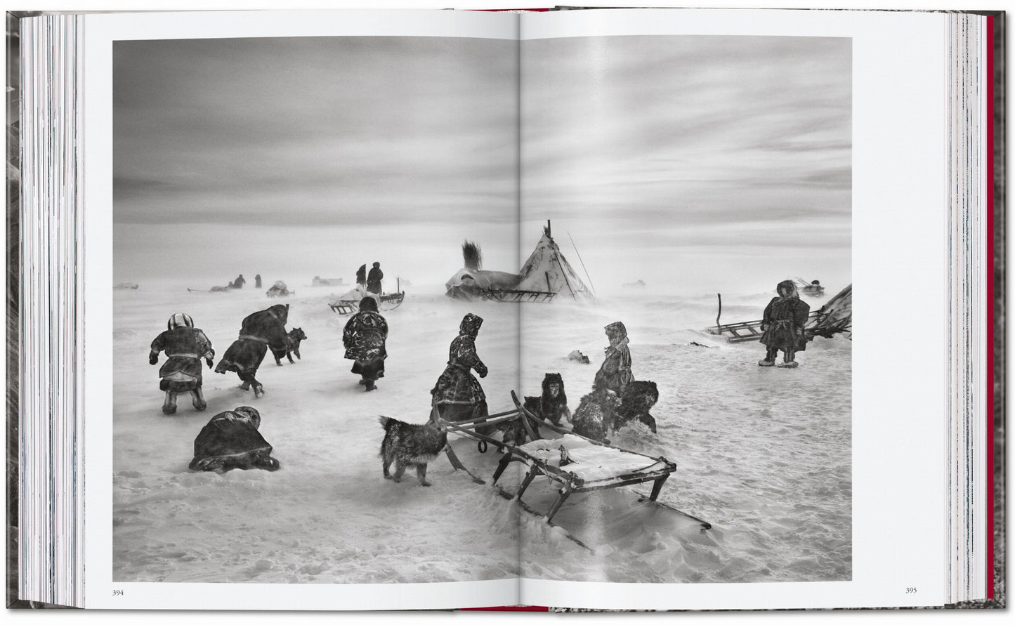 Sebastião Salgado. Genesis. 45th Ed. (English) Book