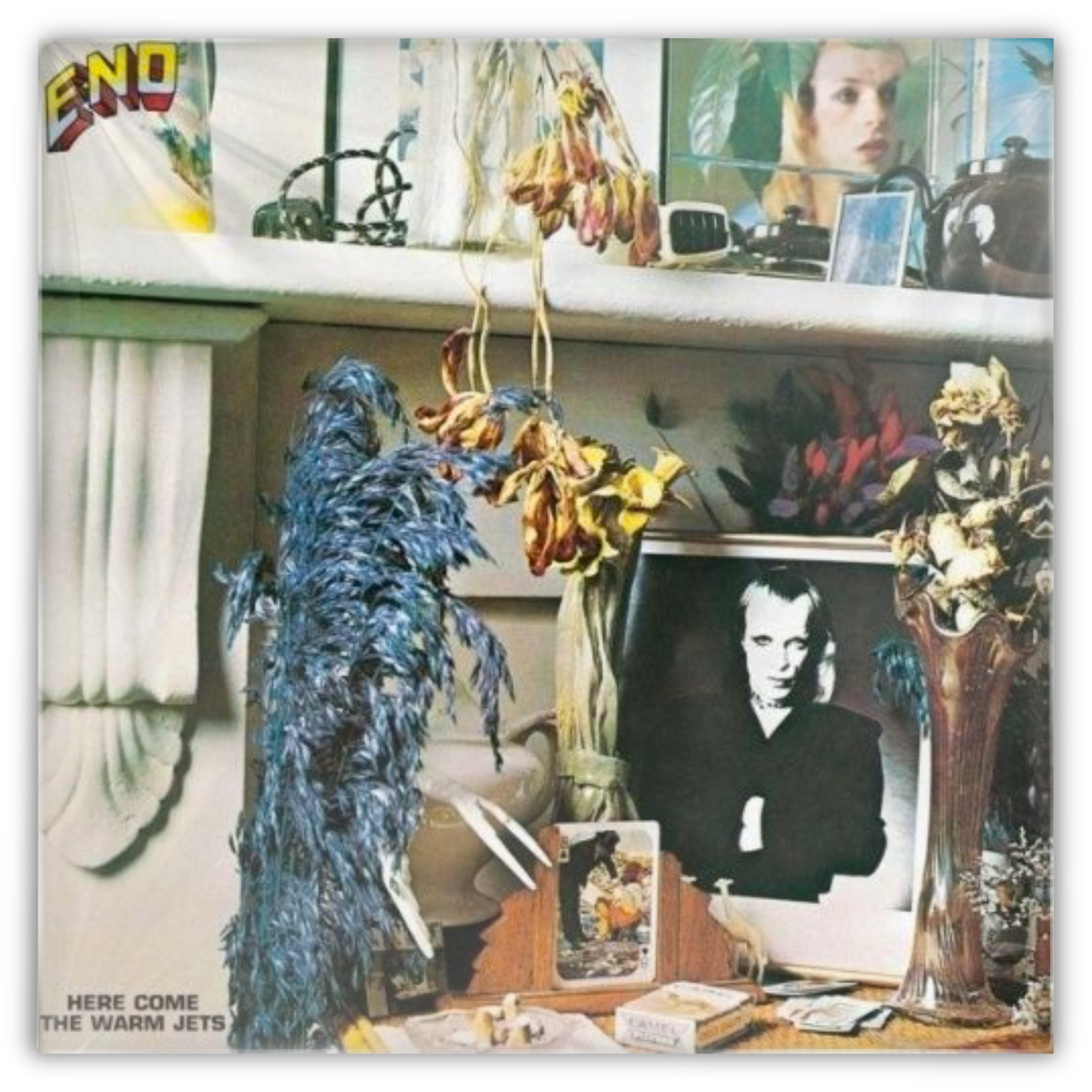 Brian Eno - Here Come The Warm Jets (140G/2017 Master) - LP Vinyl Record