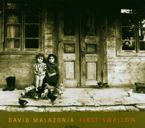 the album cover for David Malazonia - First Swallow
