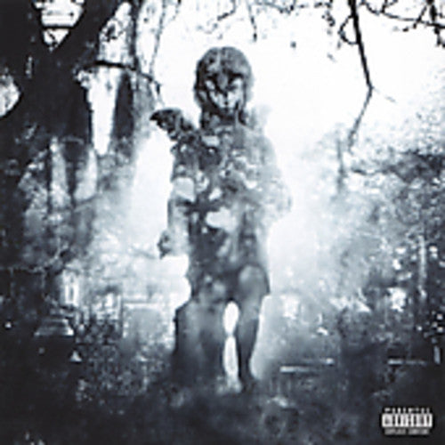 Through the Ashes of Empires Music CD
