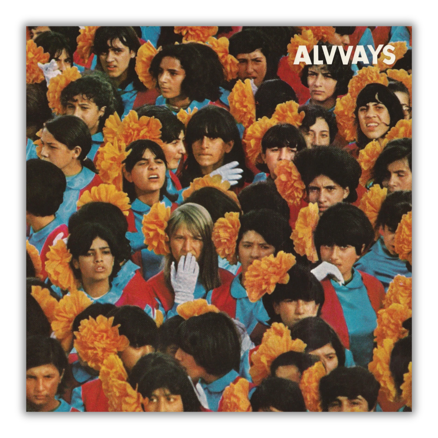 Alvvays Vinyl Record