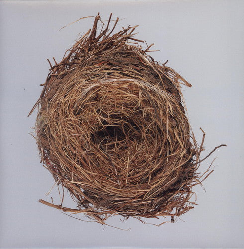 Wilco - A Ghost Is Born Vinyl Record