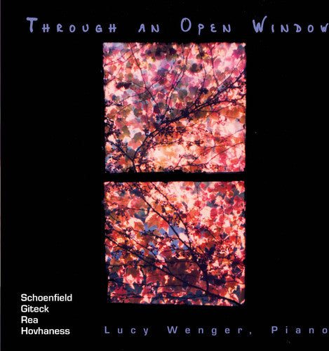 the album cover for Lucy Wenger - Through An Open Window